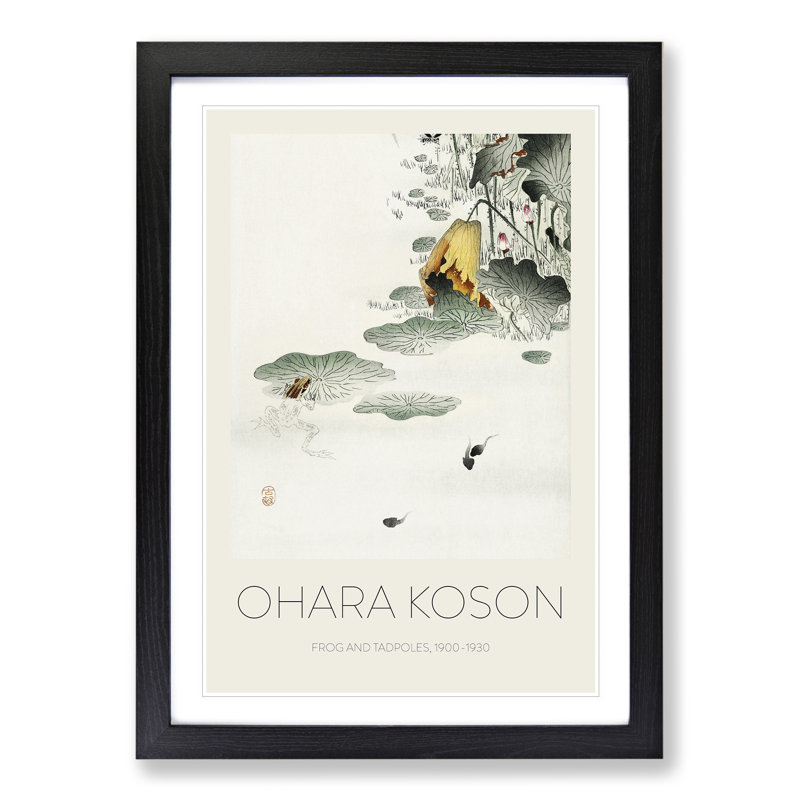 Frog & Tadpoles by Ohara Koson - Single Picture Frame Print, 36cm H x 27cm W x 2cm D, Black Framed