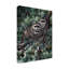 «Racoons» par Fazulla, impression sur toile tendue-27490654