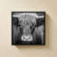 Nez de vache BW