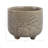 Ceramic Stoneware Planter With Raised Botanical Texture And Footed Base - Modern Decorative Garden Accent