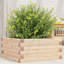 2 Wood Planter-100491926-100491947