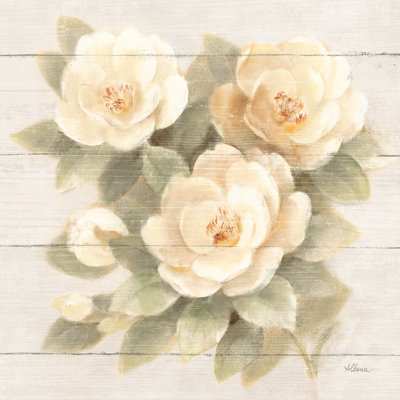 Ivory Camelia on Wood by Albena Hristova - Wrapped Canvas Painting