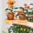 Rainforest Bowls Teak Condiment Server