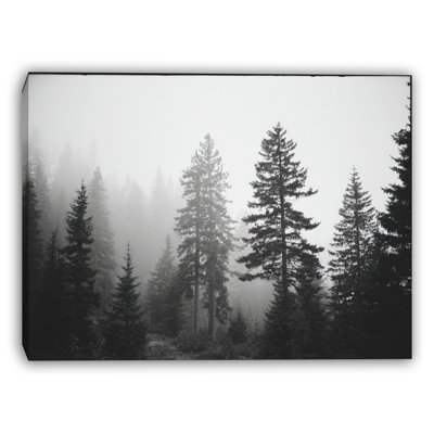 «Morning Mist Over Pine Valley», art mural sur toile