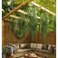 Eucalyptus artificiel suspendu-1853428704