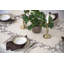 Nappe Elmwood
