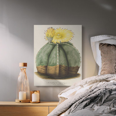 Herrod Wrapped Canvas Print Set