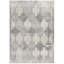 Tapis intérieur en damas gris / beige 5 pi x 8 pi (5 pi 3 po x 7 pi 7 po) Branch-1619060532