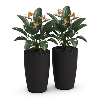 Solace 16in Tall Planter - Black 2pk
