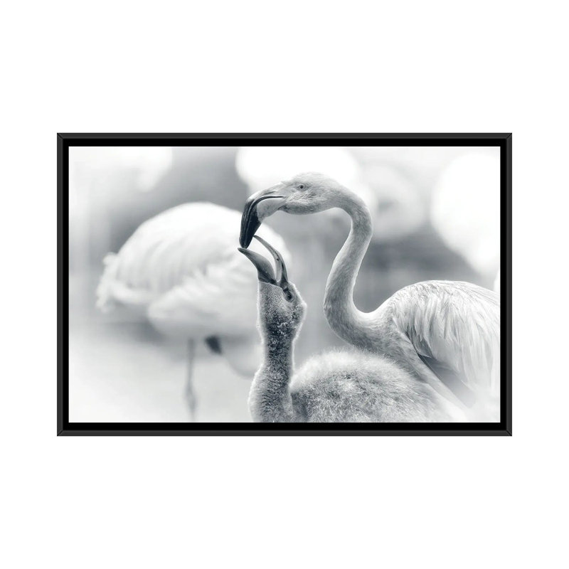 Feeding by Antje Wenner-Braun - Print on Canvas, 66.04 cm H x 45.72 cm W, Black Floater Frame