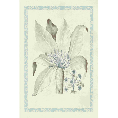 Willow Blue Besler V by Vision Studio - Wrapped Canvas Print