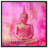 " Buddha Pink "-66812715-14378426