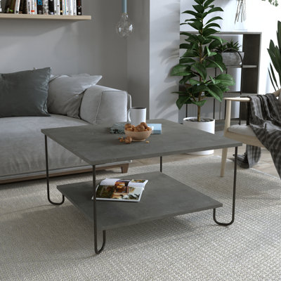 Cristiana Square Coffee Table with Storage | Sleek Design & Durable Metal Legs