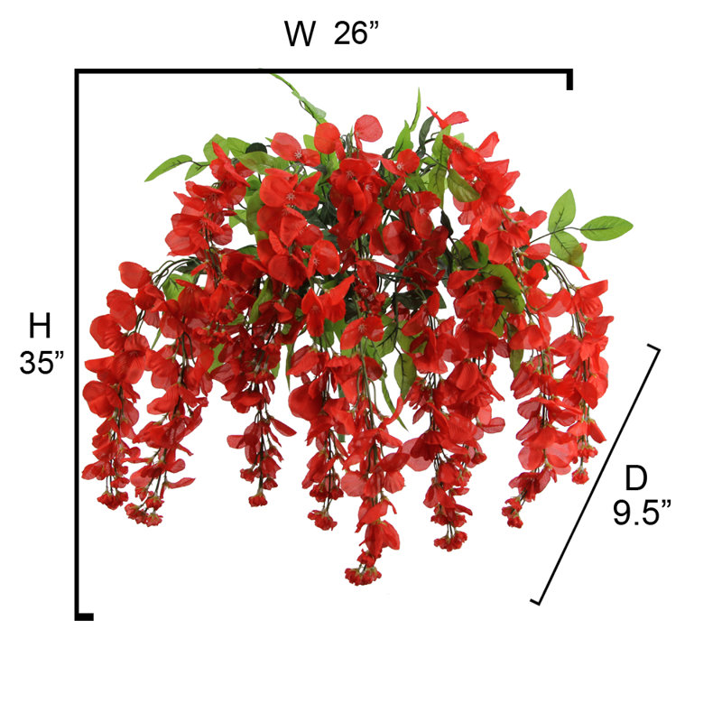 Tiges de glycine, Rouge