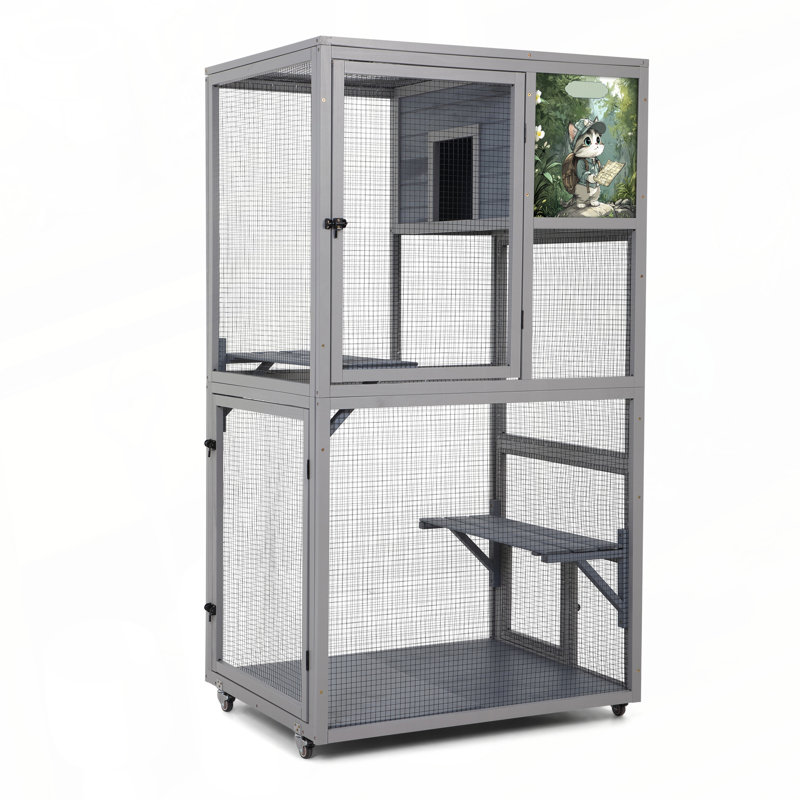 Enceinte d'extérieur pour chat Catio
