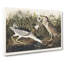 Night Heron - Wrapped Canvas Painting-55360262