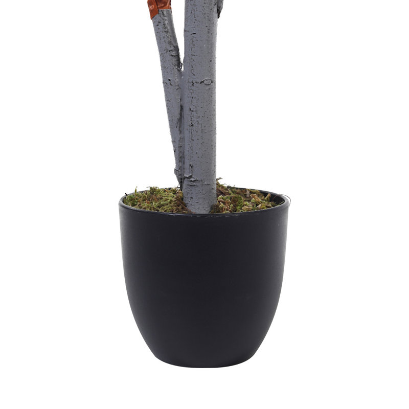 135cm Faux Persian Grass Tree in Freestanding
