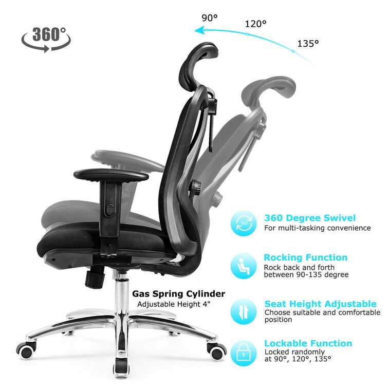 Shekhar Mesh Task Chair