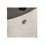 Table basse Massa