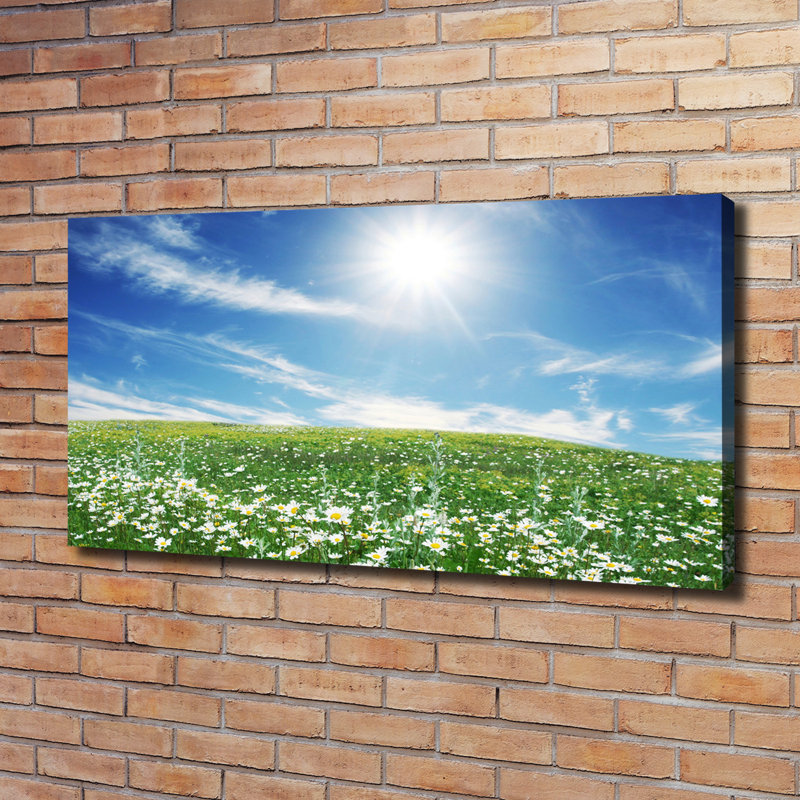 Meadow - Wrapped Canvas Print