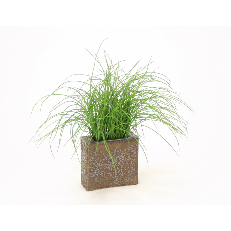 Herbe en vase rectangulaire