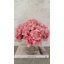 Sink Pink Hydrangea Arrangement Cylinder Glass