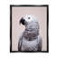 «Stupell Industries», art mural gris sur toile par Sissi et Seb-91340506-91340510