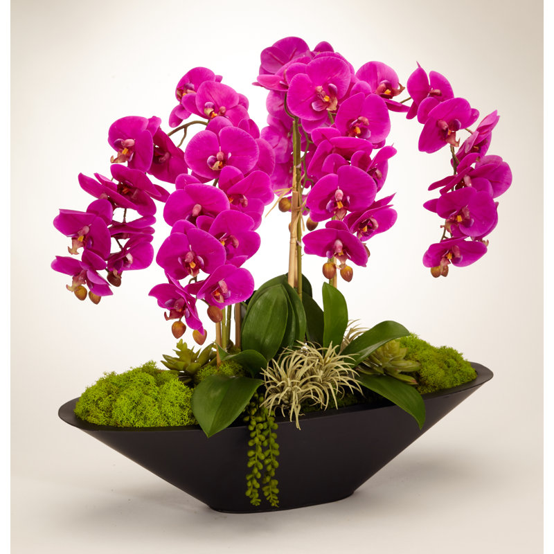Orchid Floral Arrangement in Metal Planter, Fuschia
