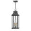 Adair 3-Light Outdoor Hanging Lantern