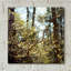 «Spring» par Kelly Sinclair-101627359