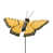Machaon