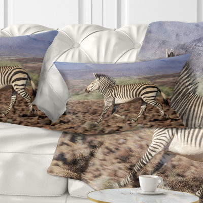 Coussin Schafer Landscape Zebra in Damaraland