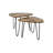 Novalee 2 Piece Side Table Set