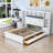 Alvinia Platform Storage Bed-981355773-981355772