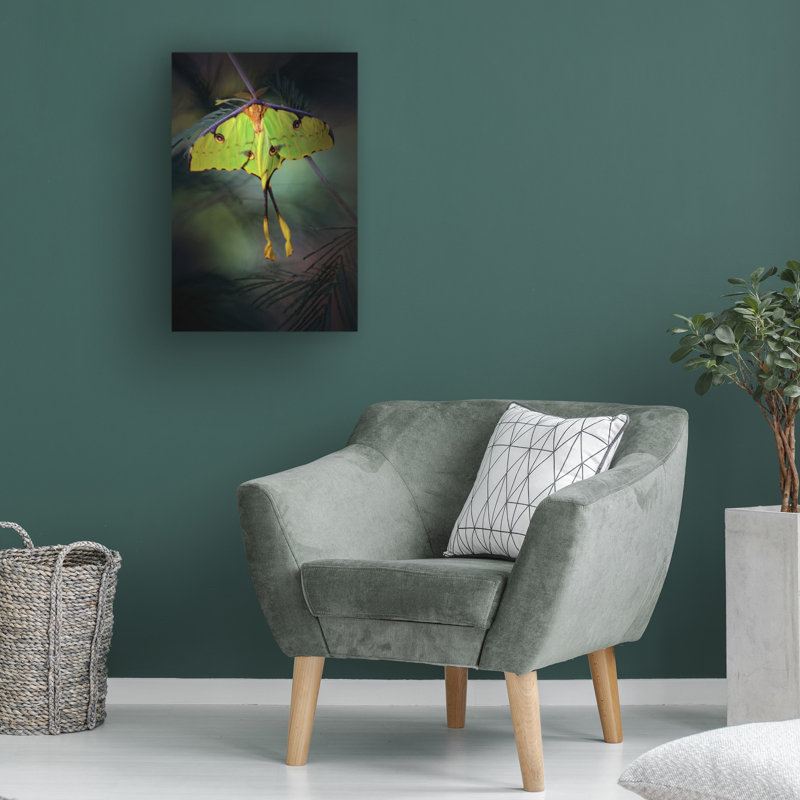 Art sur toile, papillon de lune, Jimmy Hoffman, H 24 po x l 16 po