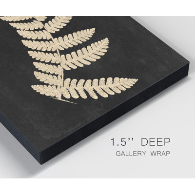 Linen Fern IV Canvas Art Print