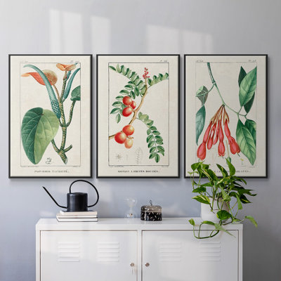 Turpin Tropical Botanicals I