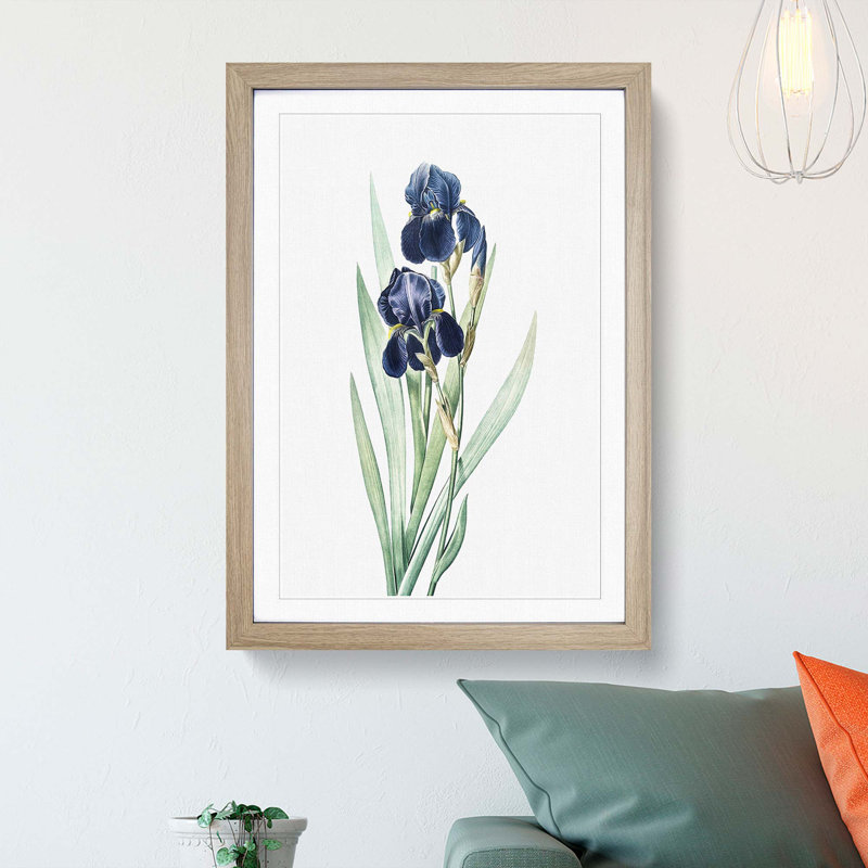 German Iris Flowers by Pierre-Joseph Redoute - Picture Frame Painting Print, 36cm H x 27cm W x 2cm D, Oak Framed
