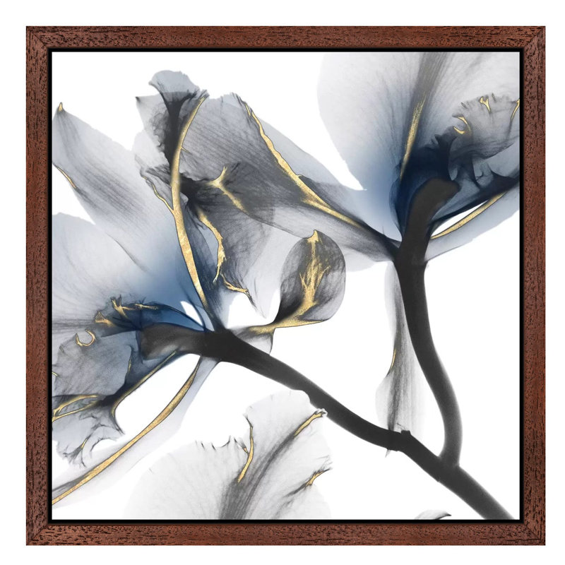 Indigo Luster Cyclamen II by Albert Koetsier - Wrapped Canvas Print, Brown Framed, 45.72 cm H x 45.72 cm W