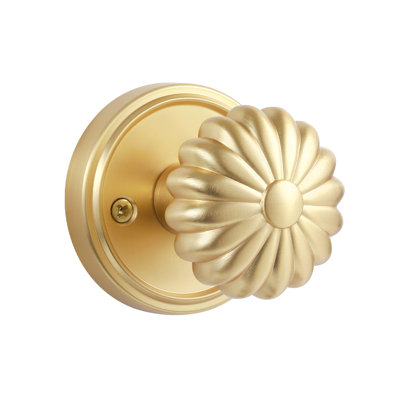 MRML Brushed Gold Passage Door Knob, Interior Light Gold Doorknob Kitchen Pantry Door Handle Hallway Closet Gold Door Knob, Aluminium Alloy Knob
