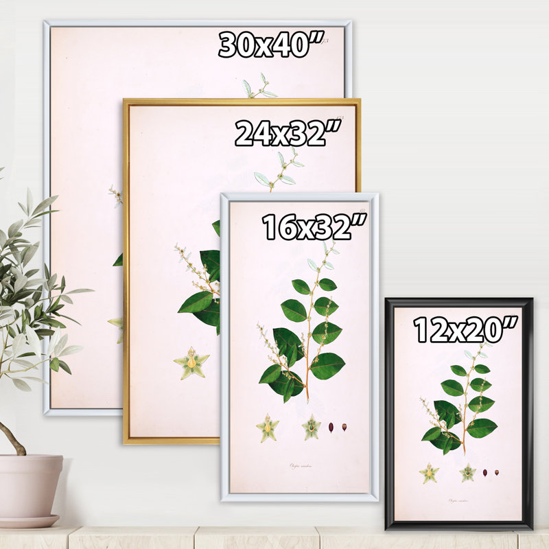 Vie végétale rétro - peinture sur toile, H 32 po x l 24 po x P 1 po, Cadre flottant blanc
