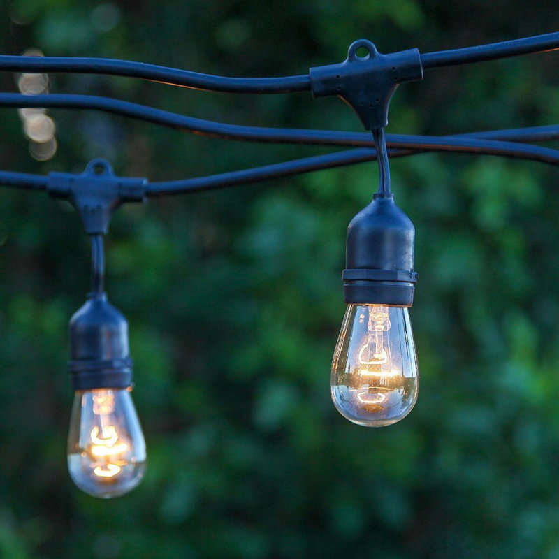 24ft Black Edison Bulb Outdoor String Lights with Warm White Glow