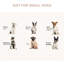 Niche pour animaux de compagnie pour petits chiens - brun, intérieur spacieux, facile à nettoyer, abri pour chien à toit rabattable, nettoyage facile