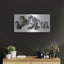 «Bernese Mountain Dog» par Barbara Keith-1548970097