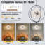 Lustre moderne en forme de globe en verre noir et chrome à 9 lumières pour vestibule de salon sans ampoules incluses