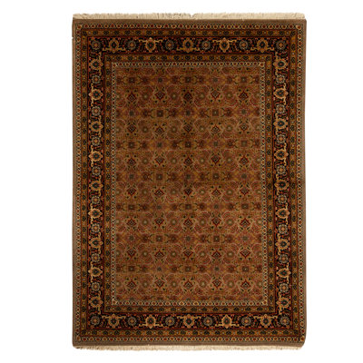 Hand Knotted Indoor Rug