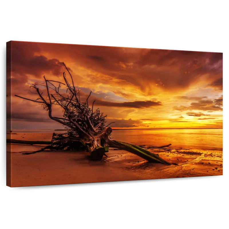 Gillard Driftwood au coucher du soleil, H 30 po x l 45 po