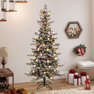 Arbre de Noël 6 pi Fraser