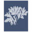 «Seaweed 4 White on Indigo Blue» par Fab Funky Wood, reproduction d'art encadrée-745268795