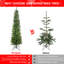 Arbre de Noël épinette pré-éclairé